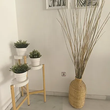 Duplex Apartment
